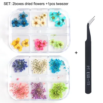  2022 Нов Маникюр, Сухи Цветя 6 кутии за опаковка на Японски цветето, пълен с дъх на бебето е естествен цвете направи си САМ декорация на нокти нокти